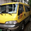 그레이스 이미지