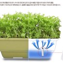 화분들닷컴 이미지