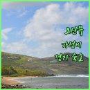 HOTEL YAM (울산삼산점) | 울산 정자해수욕장 오션뷰 가성비 숙소 5곳 비교 분석 사진 후기