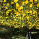 동곡주차장 이미지