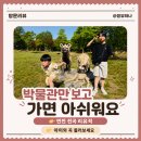 연천전곡리유적 | 연천 전곡리유적 아이와 가볼 만한 곳ㅣ 전곡선사박물관 옆 산책 후기