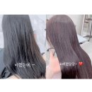 레드쿨헤어 | 광주 불로동미용실 예슬쌀롱 탈색없이 쿨레드 염색 후기