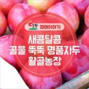 활농장 이미지