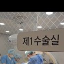 대성동물병원 네이버블로그