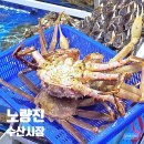 은빛약국 | 노량진수산시장 대게찜 대게 가격 정직한 노들수산