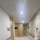 일산 그레이스병원 자궁경부암검사 국가공단검진 후기