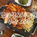 가야생오리 | ［명품생오리농원］ 부산 사상 모라 오리고기 맛집 추천 후기