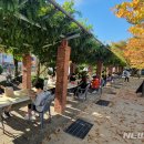 월아산 우드랜드 이미지