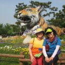 서울대공원....장미정원축제와 동물원...트레킹!!!! 5.31(토) 이미지