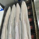 힘센수산