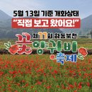 군내어린이집 | 🌺 하동 북천 꽃양귀비 축제 개화상태는? – 뚜벅이 엄마의 5월 13일 먼저 다녀온 리얼후기!