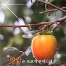 전반전후반전 이미지