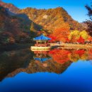 프랑스어_처음(야간) 이미지