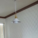 미경전기 이미지