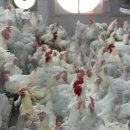 호현농장 이미지