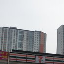 세븐일레븐(율하자이점) 네이버블로그