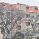 후기) 고산 옛날 국수집