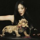 빅조이글로벌