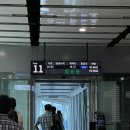 11305-16-118-1 | 창원 엔씨파크 야구장 3루 미니테이블석 118구역 시야 후기 | NC VS SSG 직관 후기