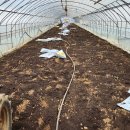 석태농장 이미지