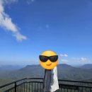 은하수별빛마을 | 호주 시드니 8박 10일 : 블루마운틴 선셋+별빛 투어 후기(꿀팁, 맛집 등)