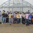 정읍시청 이미지