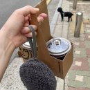 닥엔돈스 가양역점 | 오들 #19. 킹좋은 갓살구