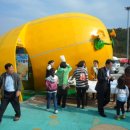 남성주참외(창원) 이미지