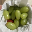 지엠(GM)마트운남점 | 현실적인 지엠 다이어트 일주일 후기
