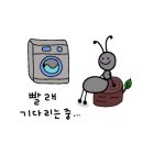 워시엔조이셀프빨래방도봉 이미지