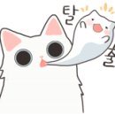 위즈위그 이미지