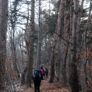 오지산행의 체면, 756.2m봉 하산 길(1037고지, 오봉산, 표때봉) 이미지