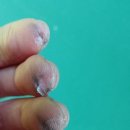 온 마이 오온 이미지