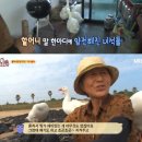 경호농장 이미지