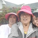 제주에서 일주일 살아보기 이미지