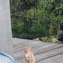 탄현로 네이버블로그