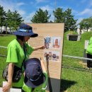 부곡지석묘 이미지