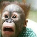 평택미한우명품관 이미지