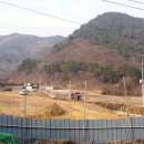 보성축산 이미지
