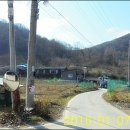 정림경로당 Daum카페