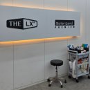 갈매순환로 | [솔라가드 프리미엄 THE LX 구리갈매점]바이퍼틴트 내돈내산 테슬라 모델Y주니퍼 틴팅 ppf 후기