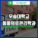 THE힘찬동물병원 | 대전 우송대학교 동물의료관리학과 큐레이들 - 설치 후기