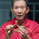 김성기농장 이미지