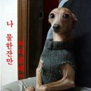 같이 이미지