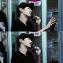 복실강아지 이미지