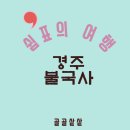 [쉼표의 여행] 경주 불국사편: 다보탑, 석가탑, 연화교와 칠보교, 청운교와 백운교