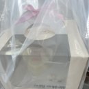 서윗트