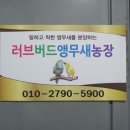 러브버드앵무새농장