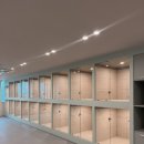 독트럴파크 이미지