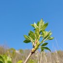 송이농장(2) 이미지